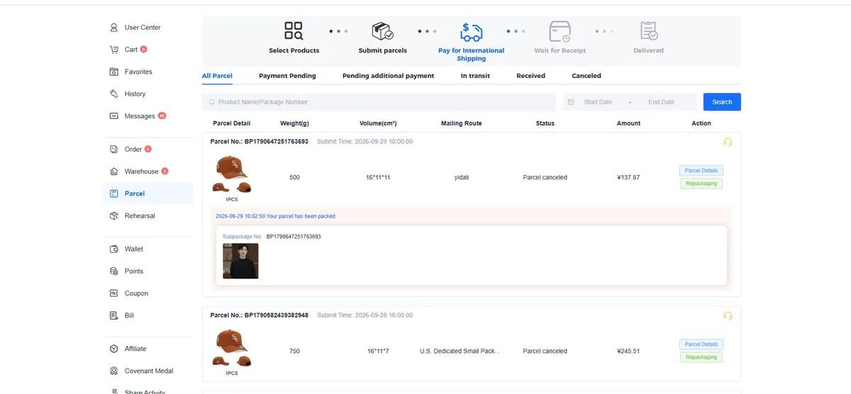 UIDBuy parcel list showing parcel numbers, weights, volumes, routes, statuses and amounts, with the Pay for International Shipping stage highlighted